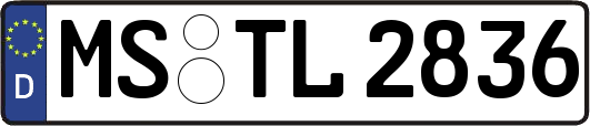 MS-TL2836