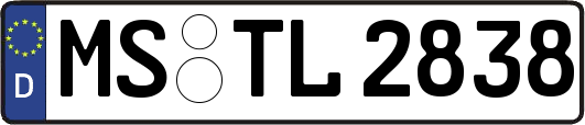 MS-TL2838
