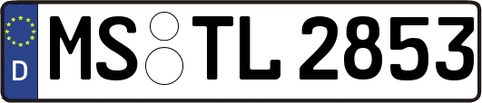 MS-TL2853