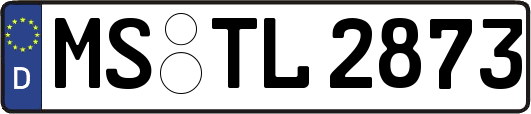 MS-TL2873