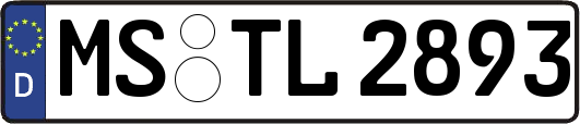 MS-TL2893