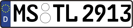 MS-TL2913