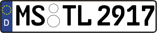 MS-TL2917
