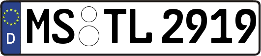 MS-TL2919