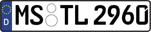 MS-TL2960