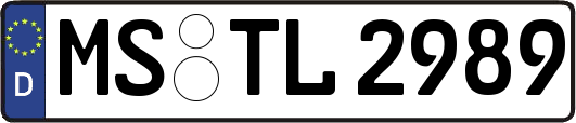 MS-TL2989