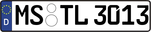 MS-TL3013