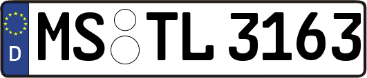 MS-TL3163