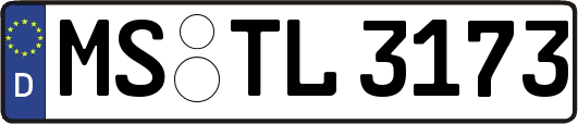 MS-TL3173