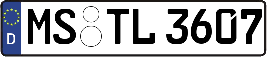 MS-TL3607
