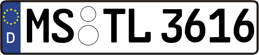 MS-TL3616
