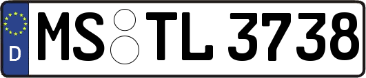 MS-TL3738