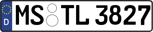 MS-TL3827