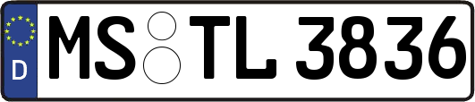 MS-TL3836