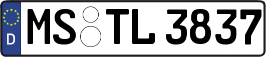 MS-TL3837