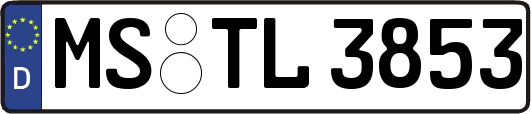 MS-TL3853