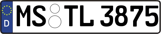 MS-TL3875
