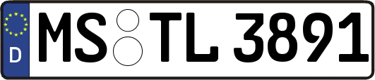 MS-TL3891