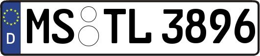MS-TL3896
