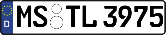 MS-TL3975