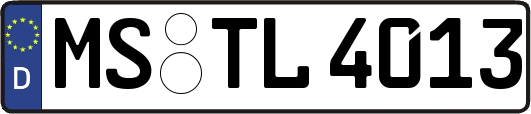 MS-TL4013