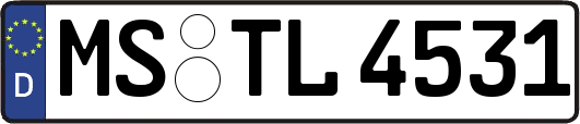 MS-TL4531