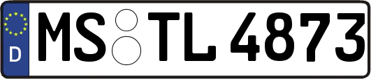 MS-TL4873