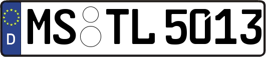 MS-TL5013
