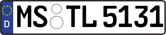 MS-TL5131