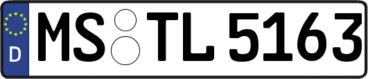 MS-TL5163