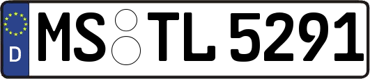 MS-TL5291