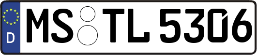 MS-TL5306
