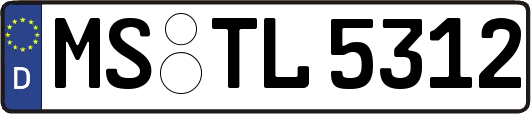 MS-TL5312