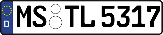 MS-TL5317