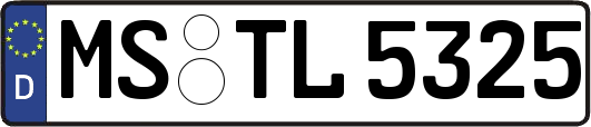 MS-TL5325