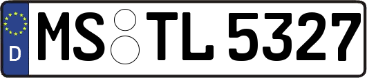 MS-TL5327