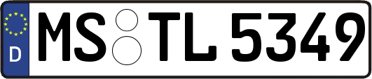 MS-TL5349