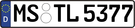 MS-TL5377