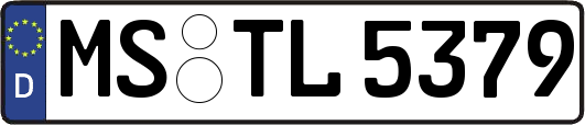 MS-TL5379