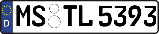 MS-TL5393