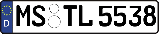 MS-TL5538