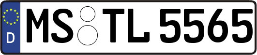 MS-TL5565