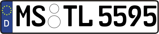 MS-TL5595