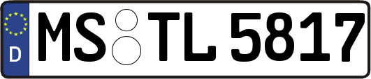 MS-TL5817