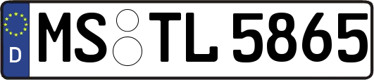 MS-TL5865