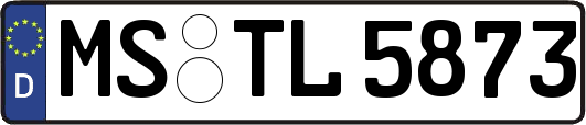 MS-TL5873