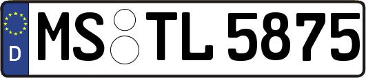 MS-TL5875
