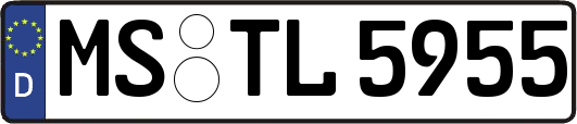 MS-TL5955