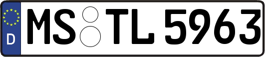 MS-TL5963
