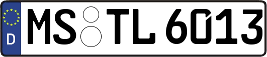 MS-TL6013